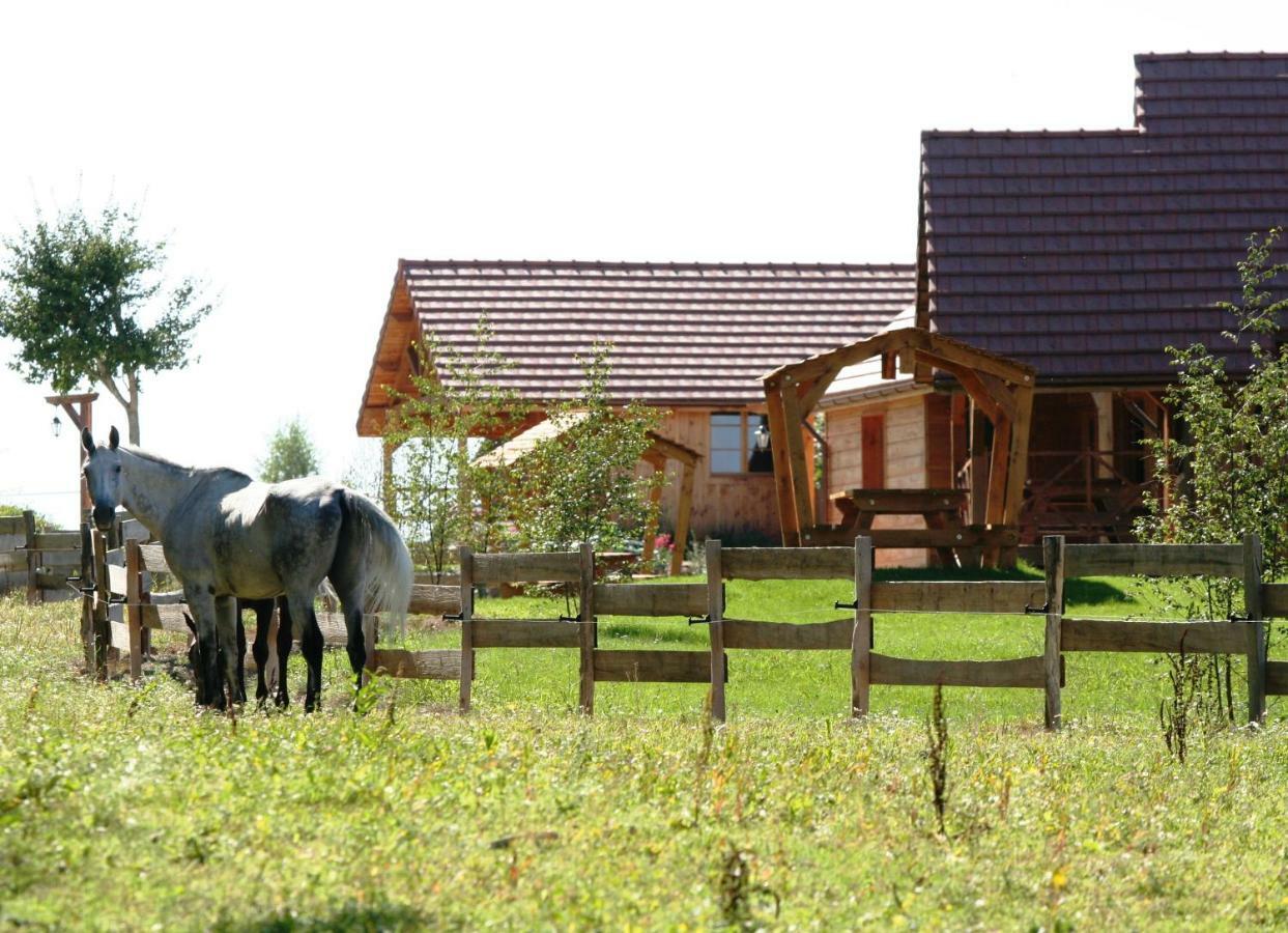 Le Hameau Des Grilles Vila Saint-Fargeau  Exterior foto